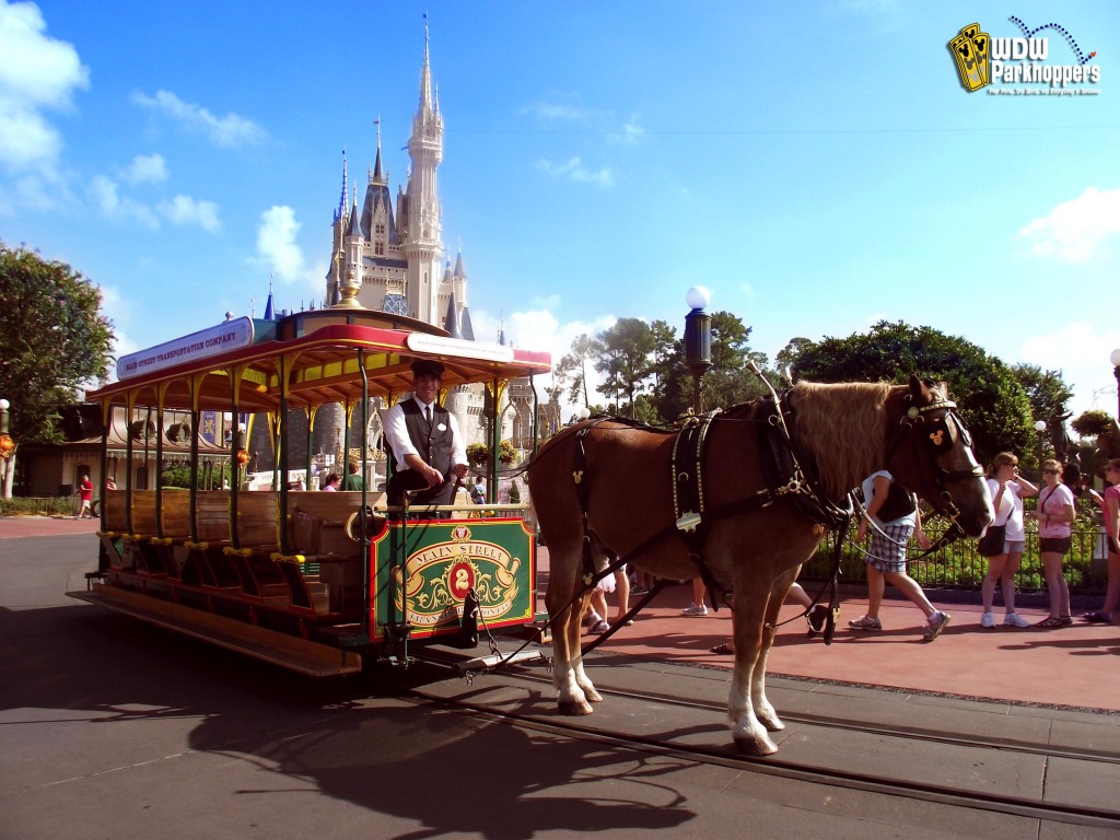 Horse and Carriage at the Magic Kingdom in Walt Disney World Resort